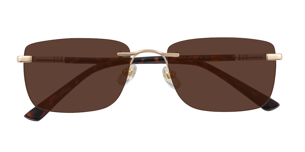 Dryden Golden/Tortoise Rectangle Metal Sunglasses