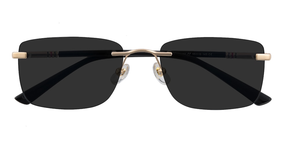 Dryden Golden/Black Rectangle Metal Sunglasses