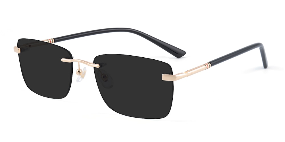 Dryden Golden/Black Rectangle Metal Sunglasses
