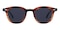 Belinda Brown Stripe Round Plastic Sunglasses