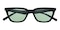 Chandler Black/Green Cat Eye TR90 Sunglasses