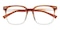Allentown Brown/Crystal Square TR90 Eyeglasses
