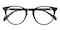 Hammond Tortoise Round Acetate Eyeglasses