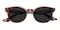 Hutchinson Tortoise Oval TR90 Sunglasses